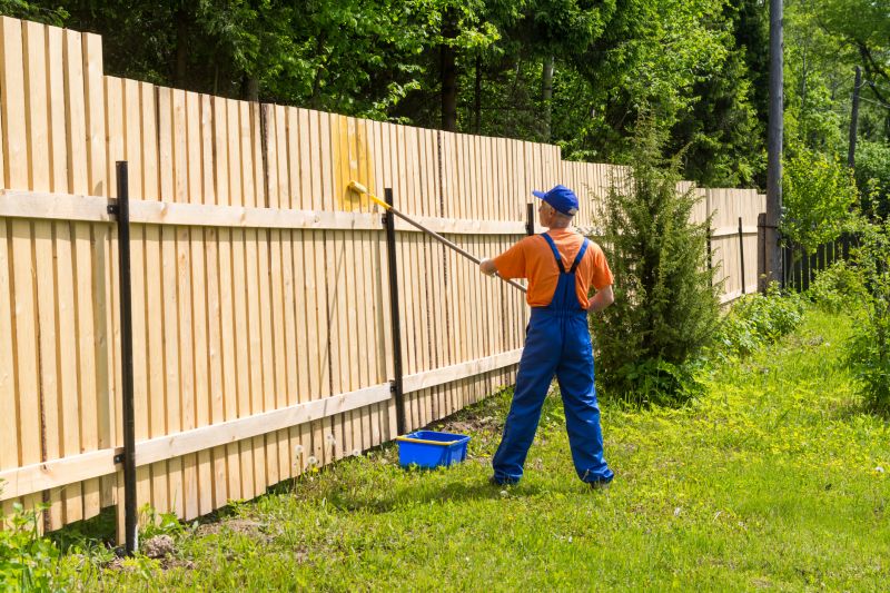 Deck Painting Service