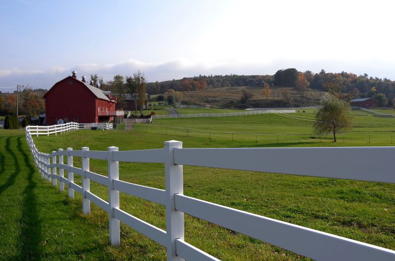 Fence Painting