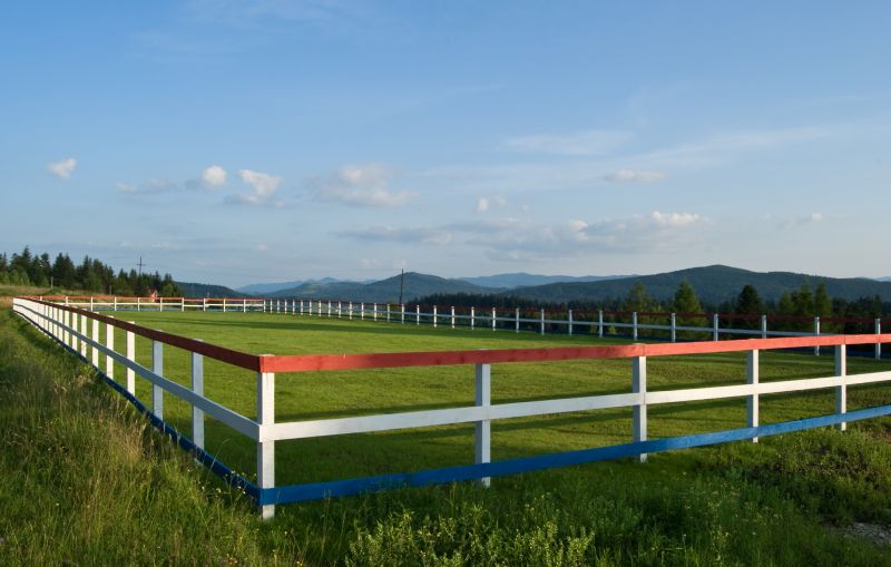 Fence Painting